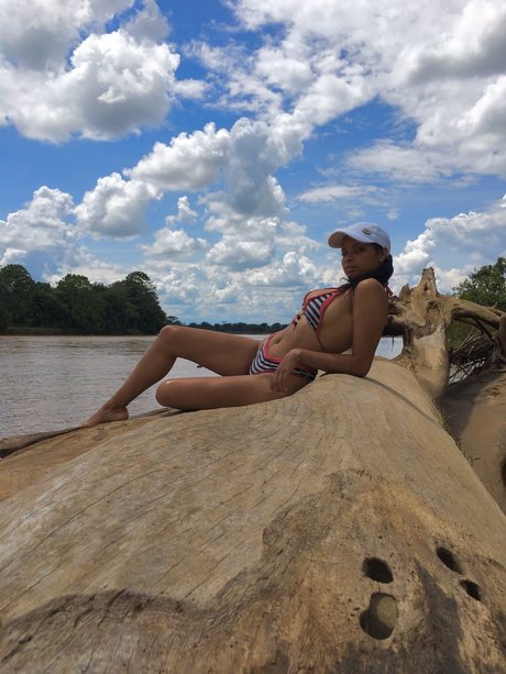 ESTRELLA MU OZ estrella agradable archivo