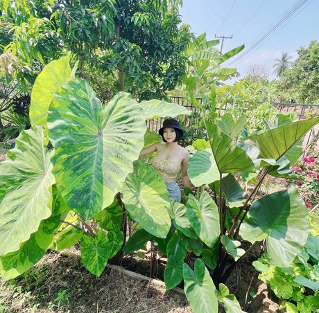 Por Punnada modelo desnuda galería