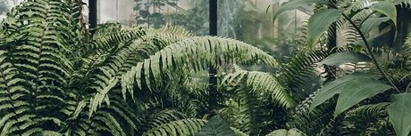 Pixie FREE_ desnudos estrella recopilación