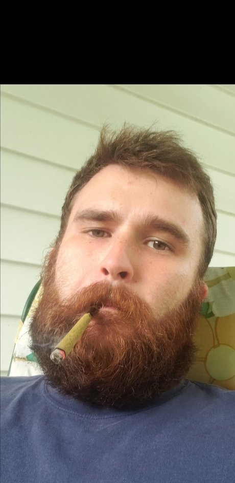 Chilly willy modelo hd galerías