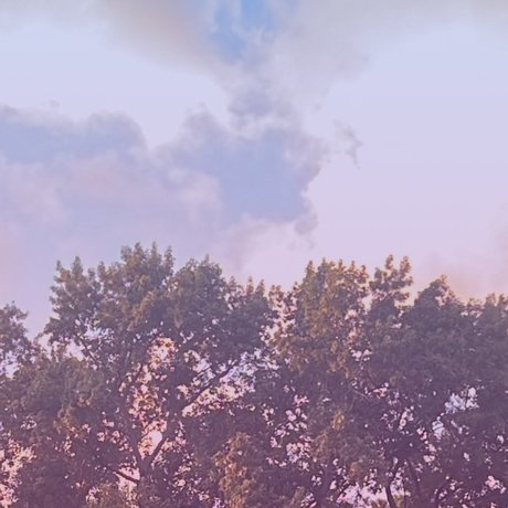 Quietlysmoking_ estrella porno xxx imagen