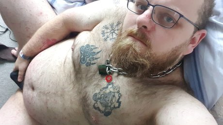 Pup Mako arte estelar archivo