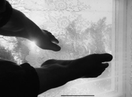 pottuvarvas estrella hermosa galerías