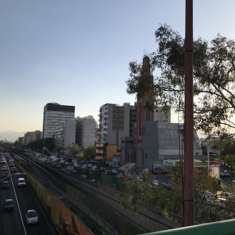 Pxxr gvng estrella porno del sexo imagen