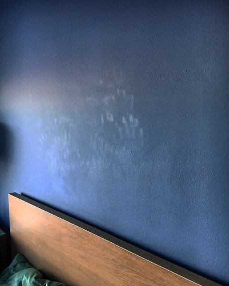 ray vox estrella xxx imagen