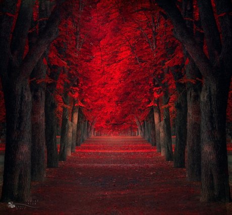 Random Aussie actriz atractiva archivo