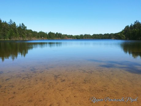 Diego Kortez actriz sexual imagen