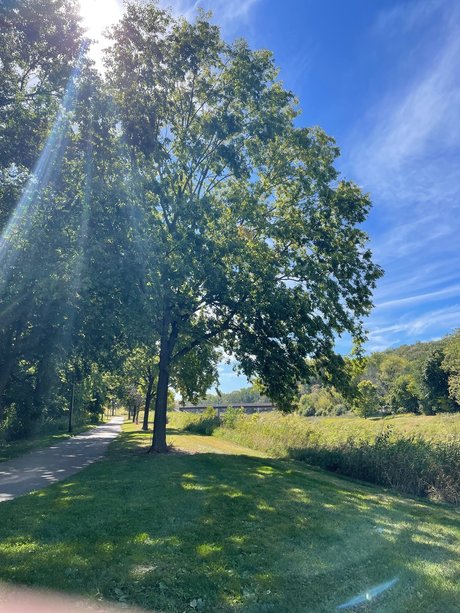 Mary s Land estrella superior imagen