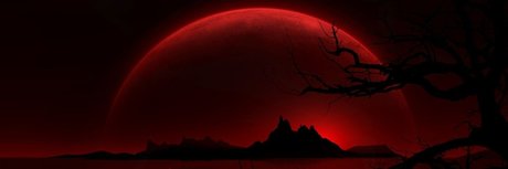 Bearded Buddha estrella del arte galerías