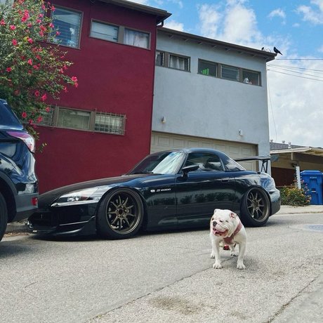 Mae Col bonita modelo foto