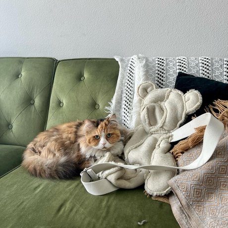 Mae Col mejor estrella imágenes