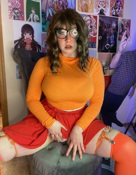 Reistrasza estrella exclusiva imagen