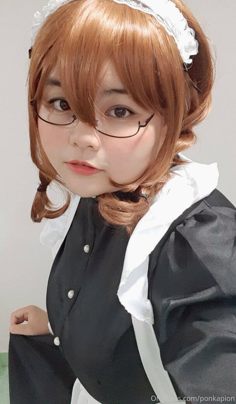 ponkapion libre de estrellas fotos