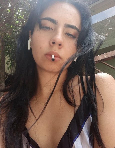 fasita arte estelar fotos