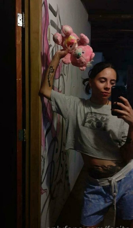 fasita estrella de alta calidad foto