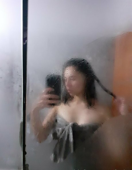 fasita modelo mejor recopilación