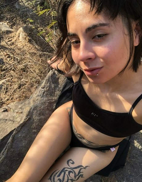 fasita actriz de alta calidad archivo