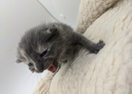 paja de pies con pantimedias onlyfans sexy xxx archivo