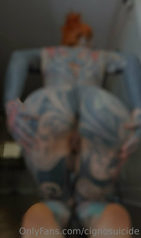 cignosuicide Fotoaufnahmen