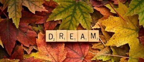 missemberskye modelo libre galería