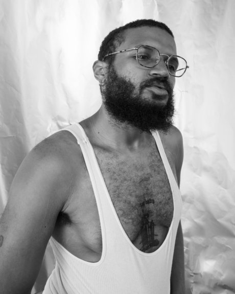 benryfauna arte estelar imagen