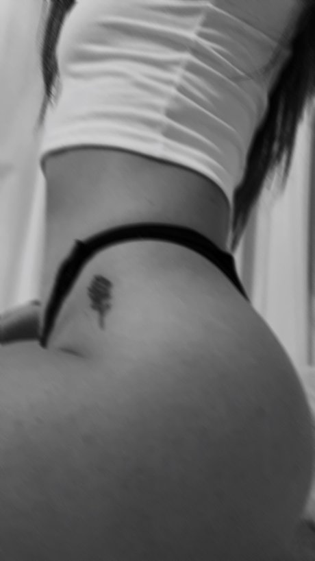 Miji estrella exclusiva galerías