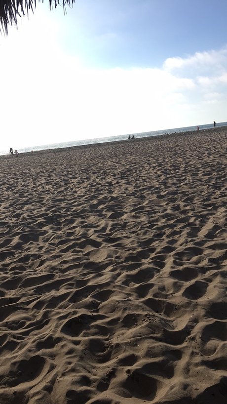 Mr Random estrella caliente imágenes