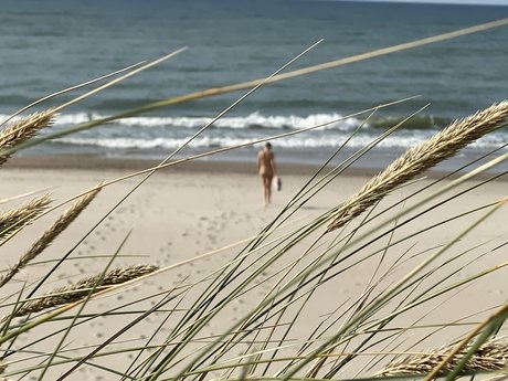 Milla Gee estrella bonita galerías