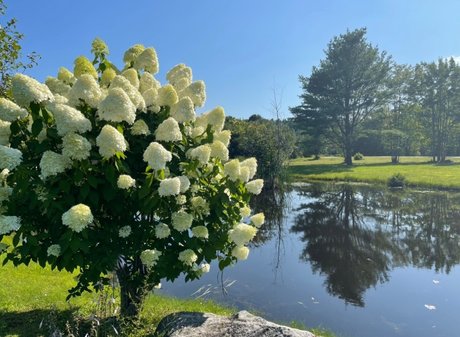 Miss Jen hermosa modelo imagen