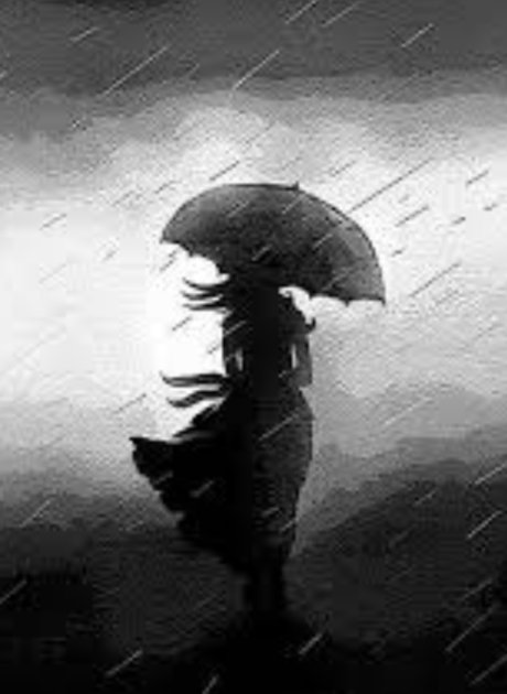 Missjazzy jay actriz perfecta imágenes