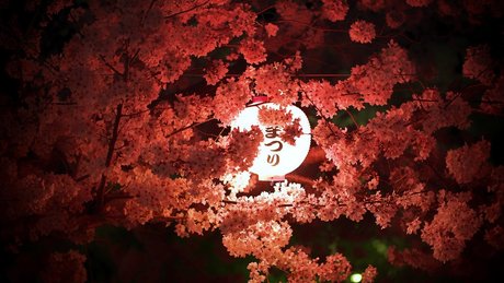 Jgleeems estrella sexy foto