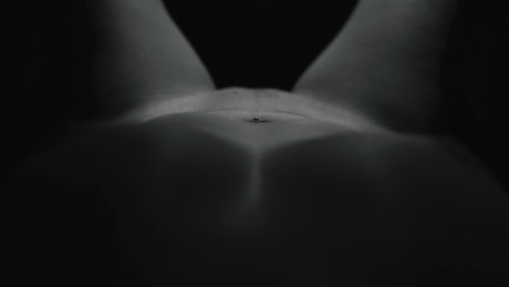 MO photo pt estrella bonita imágenes