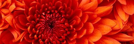 JennaLee estrella erótica galerías