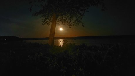 MrDreamCumTru81 modelo hd imágenes