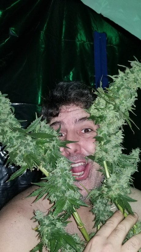 Al13N estrella porno atractiva galería