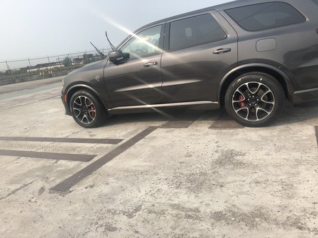 MrShowOutDetroit estrella porno desnuda recopilación