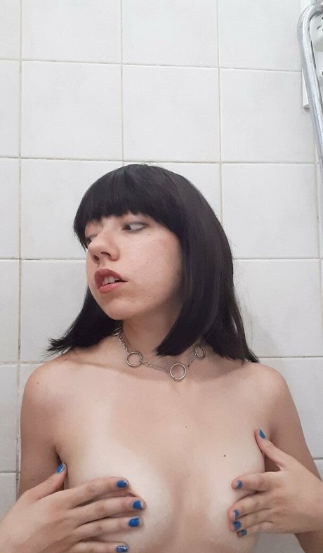 vivibush modelo galerías