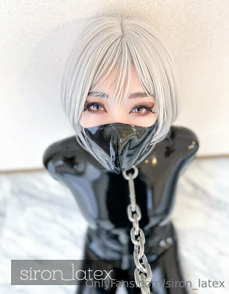 siron latex modelo de arte galería