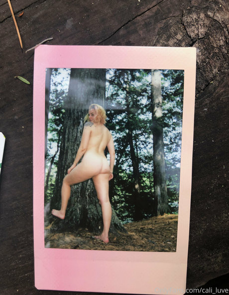 cali luve estrella del sexo archivo