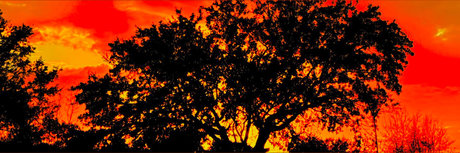 Georgian Hung 94 modelo desnuda archivo