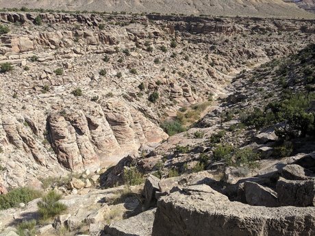 elTigre00 modelo sexy archivo