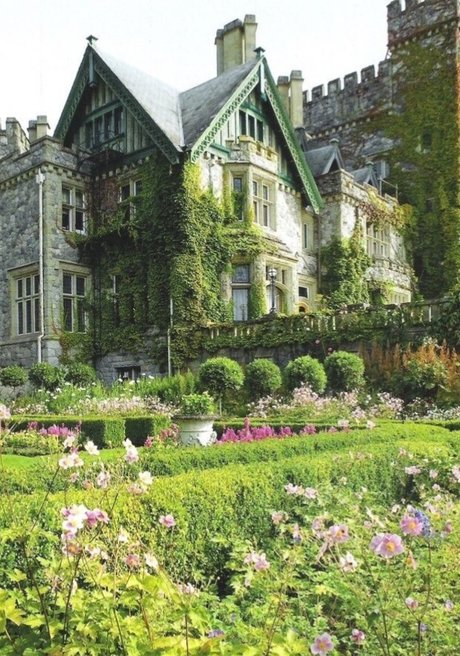 curly and curvy buena estrella porno galerías