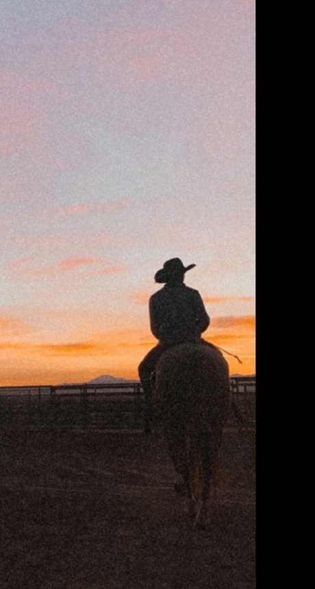 Dottie Walker modelo xxx galerías