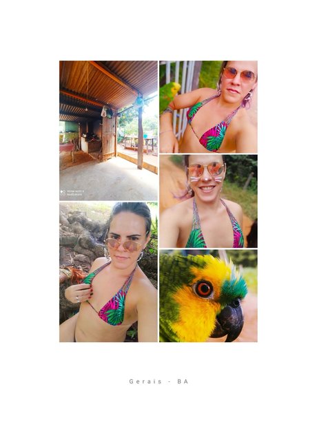 Bia Baiana estrella hd archivo