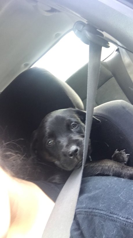 Naomi Evans estrella porno de arte imágenes