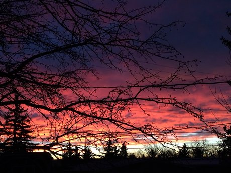 Alice s Wonderland_ modelo desnuda imágenes