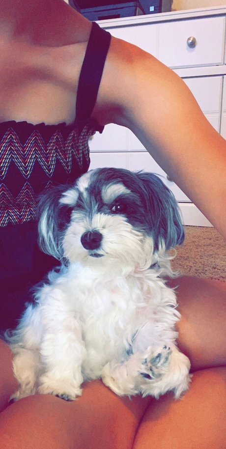 MOLLY MORKIE modelo de alta definición foto