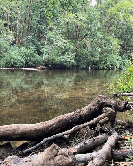 cum area bonita estrella porno archivo