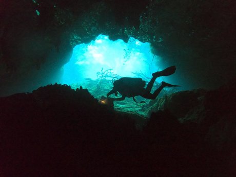 Gerson estrella hermosa galerías