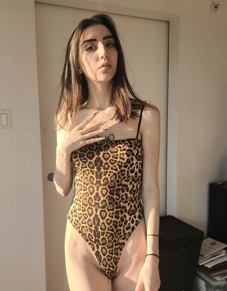 smlgalx modelo imagen